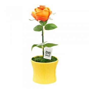 Композиция декоративная (с подсветкой) "Чайная роза" (с эффектом натуральных лепестков, в керамическом горшке) d=12см. h=33см. (батарейка-3"AA") (транспортная упаковка)